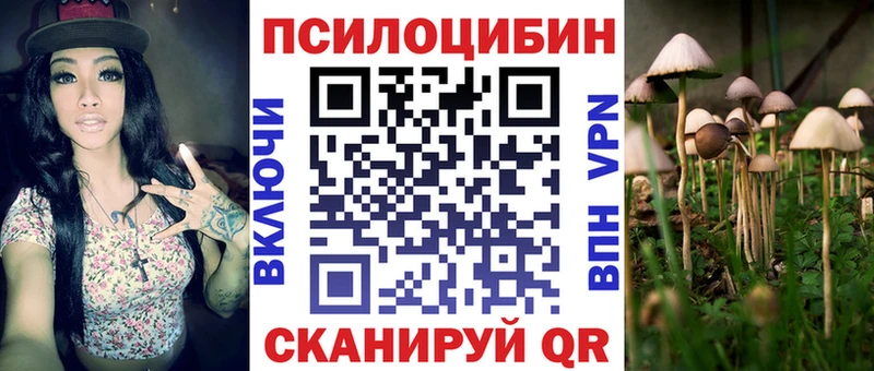 МЕГА зеркало  Багратионовск  Псилоцибиновые грибы Cubensis 